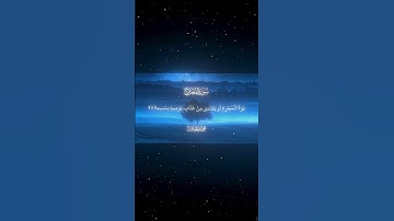 سورة المعارج |1-23| القارئ : محمد اللحيدان