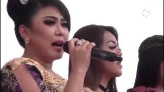 New Pallapa   Bintang Pentas   All Artist Live Kompak