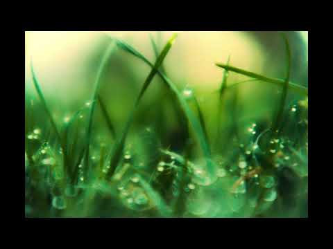 Ludovico Einaudi - Matches (Day 3)
