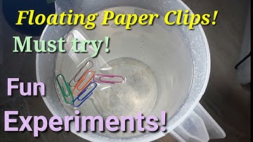 Just for fun! How to float paper clips! Fun Experiments to do at home.
