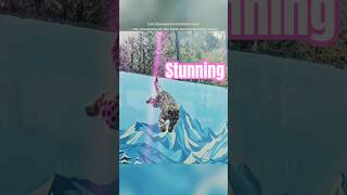 Ling Xiaomang the snow leopard’s stunning leap — the awakening of the snow mountain king’s genes.