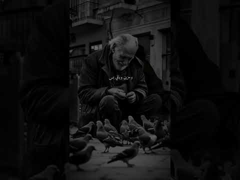 الايابا صحيح بعيد بس قلبي شعر بيك استوريهات أكسبلورر