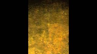 Orkan Tekan-Karanlık Çökünce Kurulur Hayaller