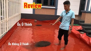 Kỹ Năng Dùng Thính Trong Câu Lục Trắm Đen. Chép. So Sánh Phân Tích Giữa Ốc Ủ Thính Và Không Ủ Thính.