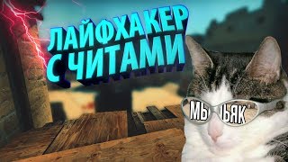 РАЗВЛЕЧЕНИЕ ШКОЛЬНИКОВ CS:GO / ЛАЙФХАКЕР С ЧИТАМИ РАЗВЛЕЧЕНИЕ ШКОЛЬНИКОВ CS:GO / ЛАЙФХАКЕР С ЧИТАМИ