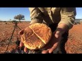 Cooking a Damper For Breakfast in the Australian Outback