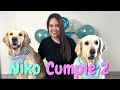 Segundo cumpleaños de Niko