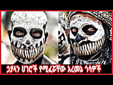 ቪዲዮ: የአሸዋ ምኞቶች -የፍሎሪዳ ሐውልት ፌስቲቫል