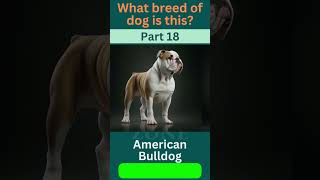 Guess the Breed Challenge! Part  18 | Dog Breed  | Dog Lovers