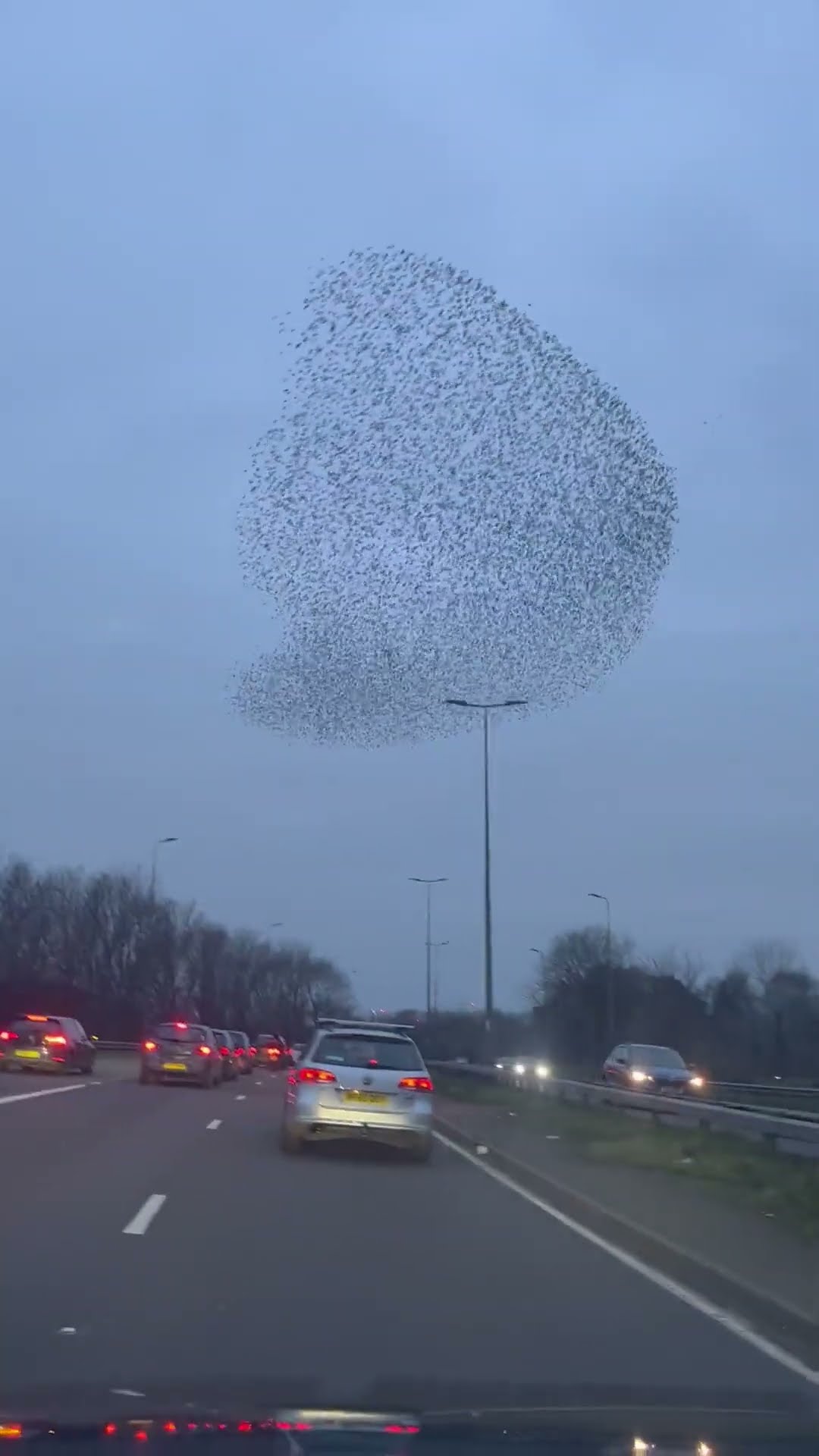 Mesmerizing Starling Murmuration || ViralHog