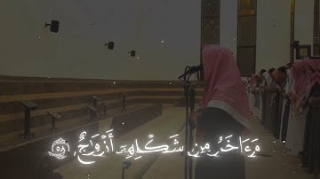 ﴿هذا ذِكرٌ وَإِنَّ لِلمُتَّقينَ لَحُسنَ مَآبٍ﴾| محمد اللحيدان | سورة ص ❤️‍🩹