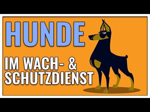 Video: Wachhunde - Bandenverstecke, Hauptziele, Belohnungen, Spec Ops-Waffen