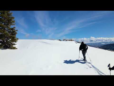 16225 Pine Ct, Truckee, CA home video tour