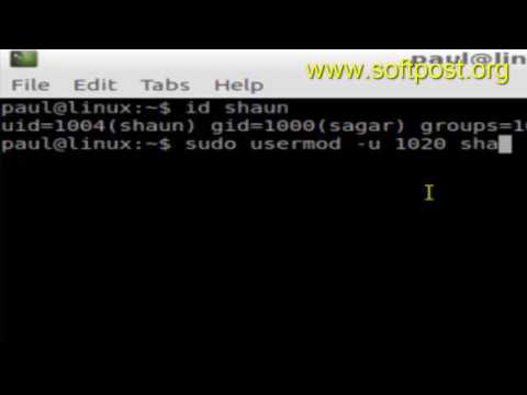 How to change the id of a user in Unix