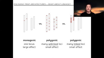 2) Rebekah Oomen - Consequences of single-locus and tightly linked genomic architectures for evol...
