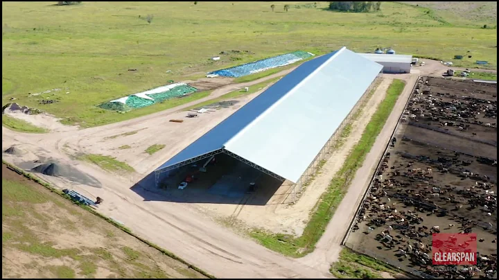 QLD Feedlot Roof Structure | Clearspan Building Solutions | Rural Sheds and Structures