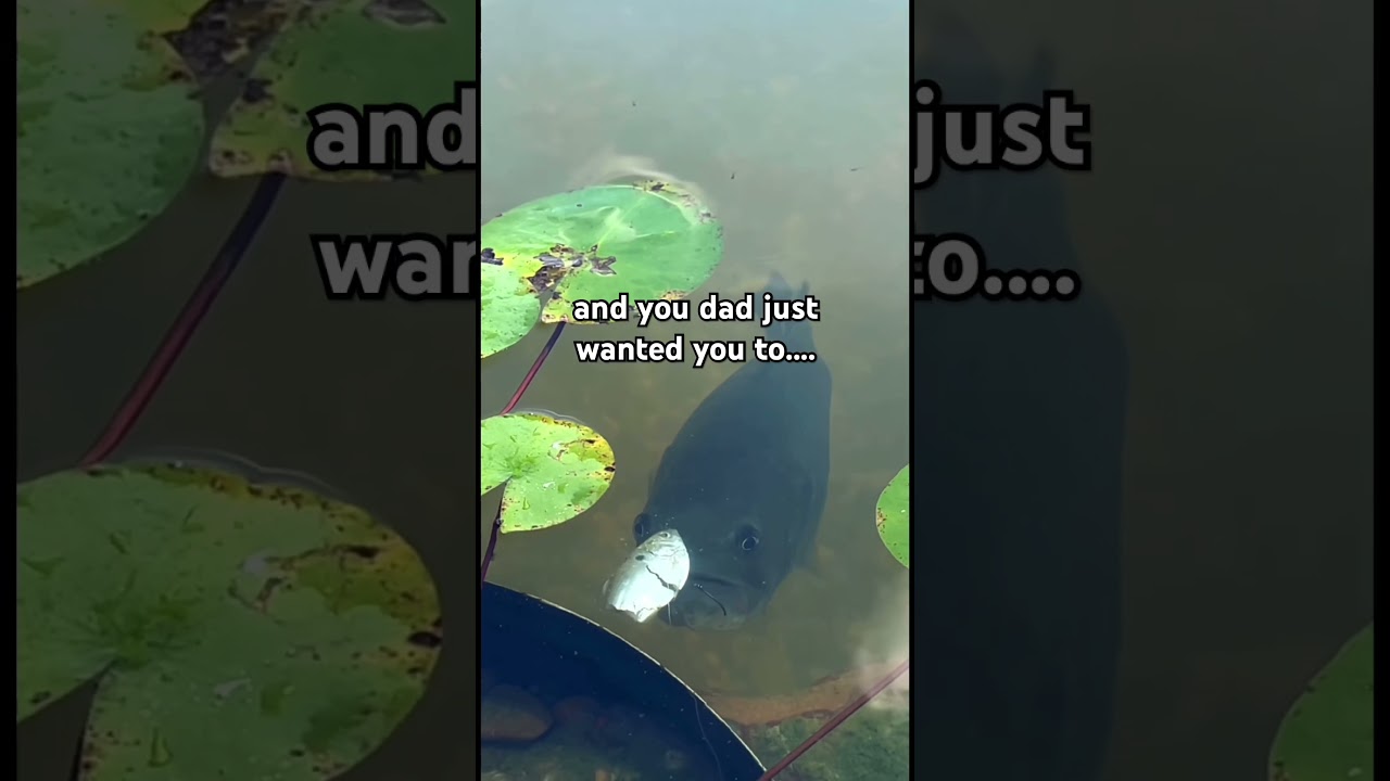 sub! #fishing #fishinglife #fishingvideo #fishingshorts #shorts #funny #fishingtips #fisherman #fyp