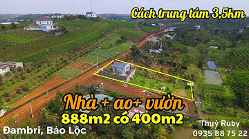 ( Đã bán) ngôi nhà vườn 888m2 có 19,5m MT hẻm Tản Đà, ao vườn, sẵn 400m2 TC, Đambri, Bảo Lộc