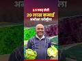 This Lucknow farmers has annual turnover of 20 lakhs from exotic #vegetablefarming