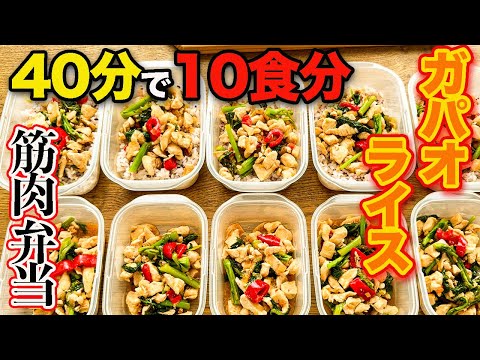 【作り置き筋肉飯】1食たったの170円で健康的な体づくり!鶏胸肉で簡単激ウマなガパオライス筋肉弁当10食分!【筋トレ・ダイエット】
