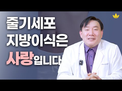 기술+예술=줄기세포 지방이식🔍❔