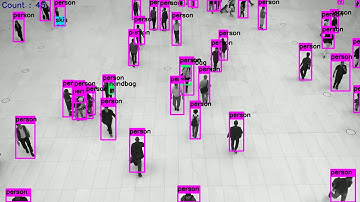 Crowd counting