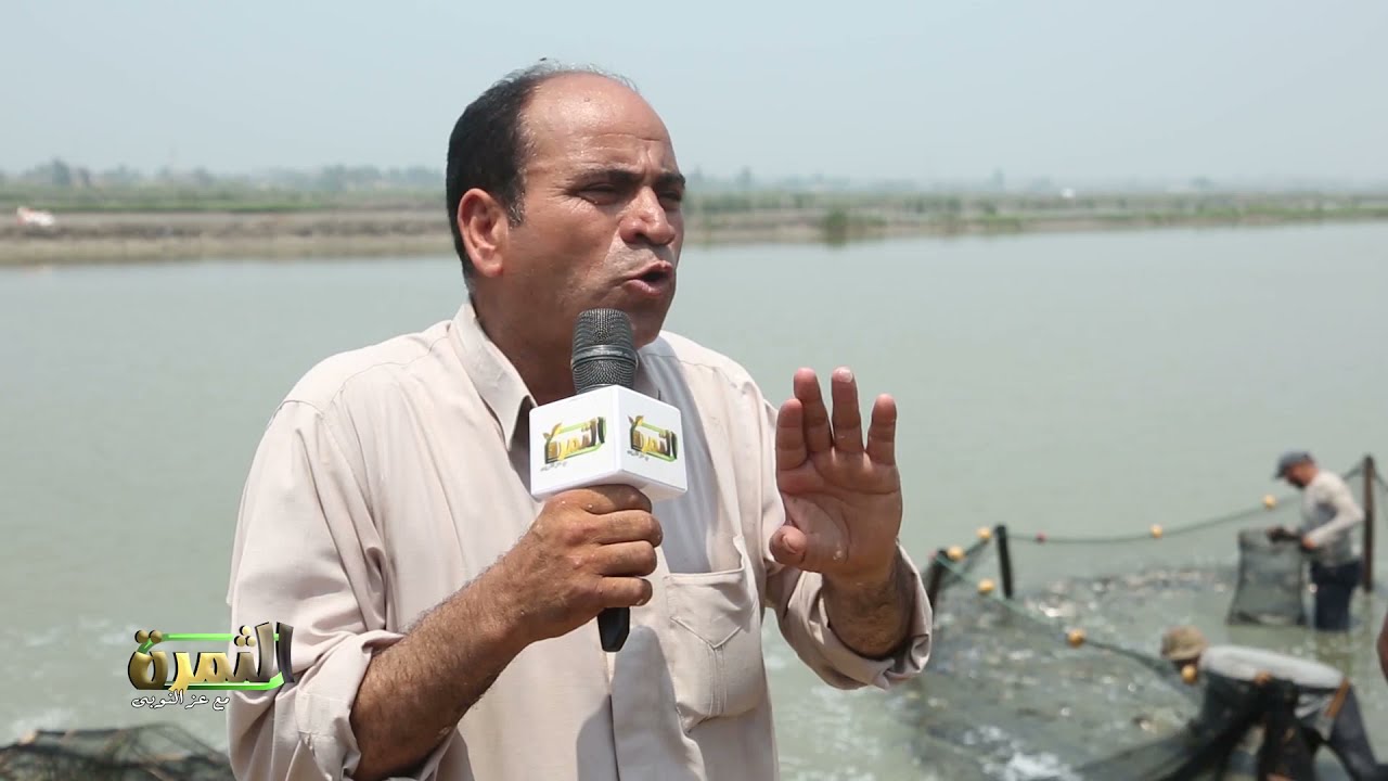 نجاح مشروع الاستزراع السمكي بالشرقية ونجاح استزراع البورى والبولطي والطوبار والمبروك
