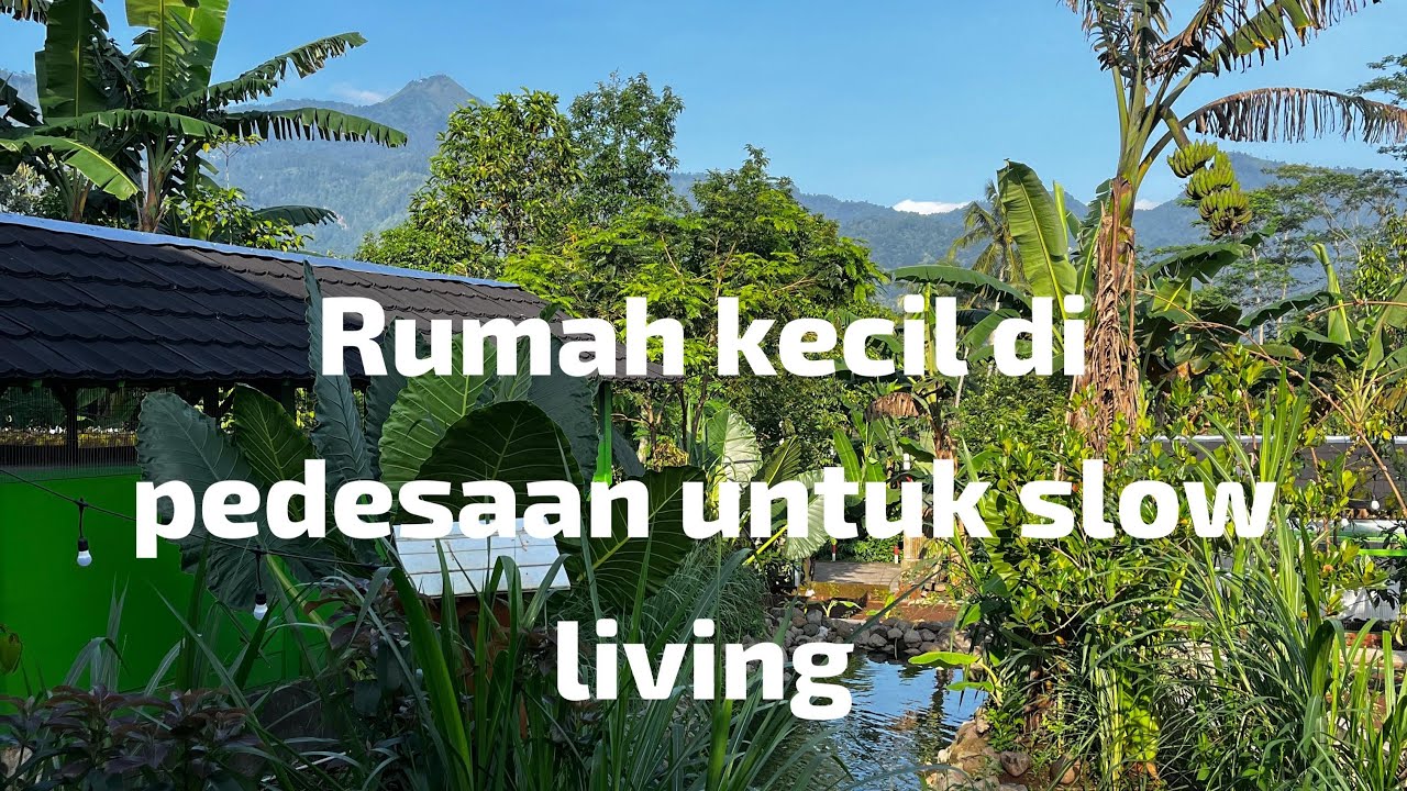 Gambaran slow living hidup di pedesaan #desa #slowliving - YouTube