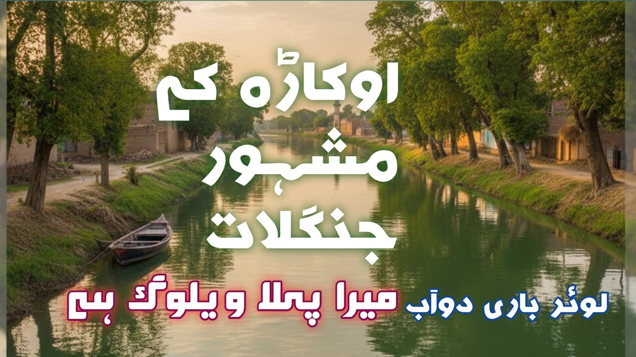 Lower Bari Doab | Village Life Pakistan | Most Beautiful Scenery in Punjab 🇵🇰