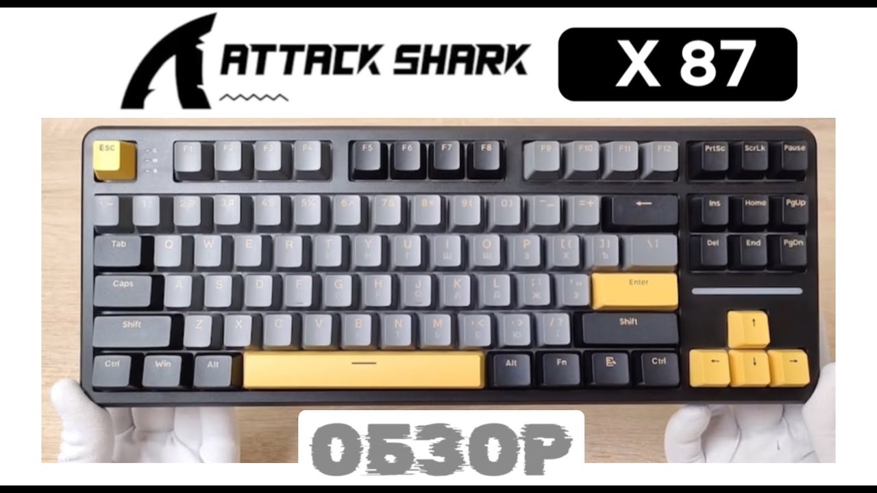 ATTACK SHARK X87 ОБЗОР | МЕХАНИЧЕСКАЯ TKL-КЛАВИАТУРА С RGB И GASKET MOUNT | GAMING KEYBOARD | ГАЙД