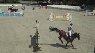 Suta Sándor - Clear Day Bábolna CSI** Középkör