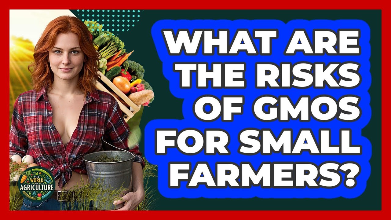 What Are The Risks Of GMOs For Small Farmers? - The World of Agriculture
