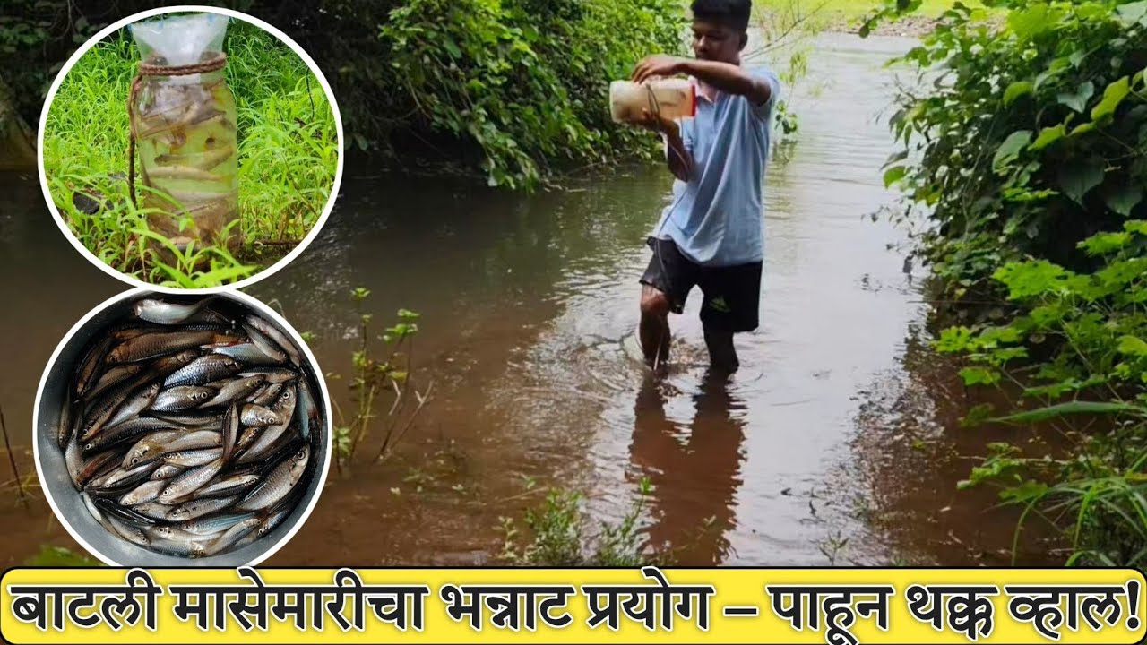 बाटली ने मासेमारीचा भन्नाट प्रयोग - पाहून थक्क व्हाल...| I can captured fish on the bottle..🐟