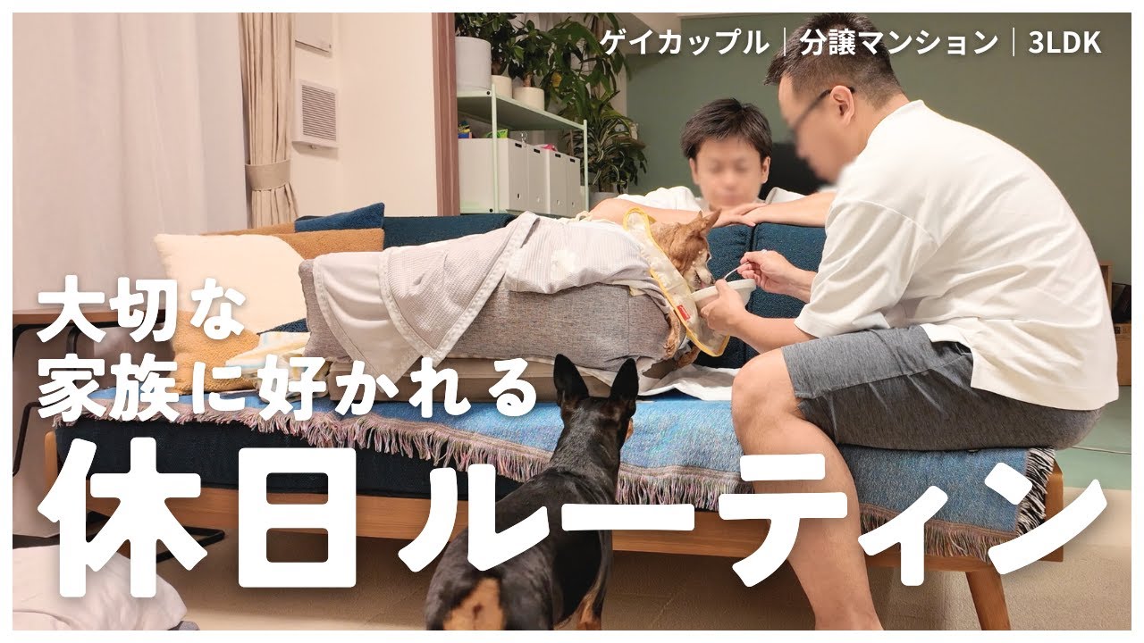 Праздничные будни для моей любимой семьи | Жизнь гей-пары и двух собак