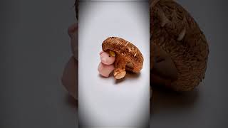 Peppa Pigs Asmr Mukbang Mushroom Feast 3D Asmr Mukbang Animation