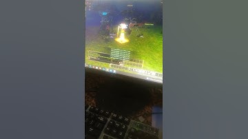 my auto heal bot in flyff universe