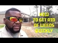 The Fastest way to get rid of weeds in Bermuda grass,  plus how to kill  lawn weeds tips.