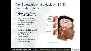 Famous PSY 101 Ch  4 Presentation Profile