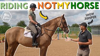 Lesson on a Different Horse! with Top ShowJumper Jay Halim! AD | This Esme