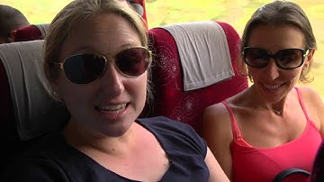 similarweb trip final