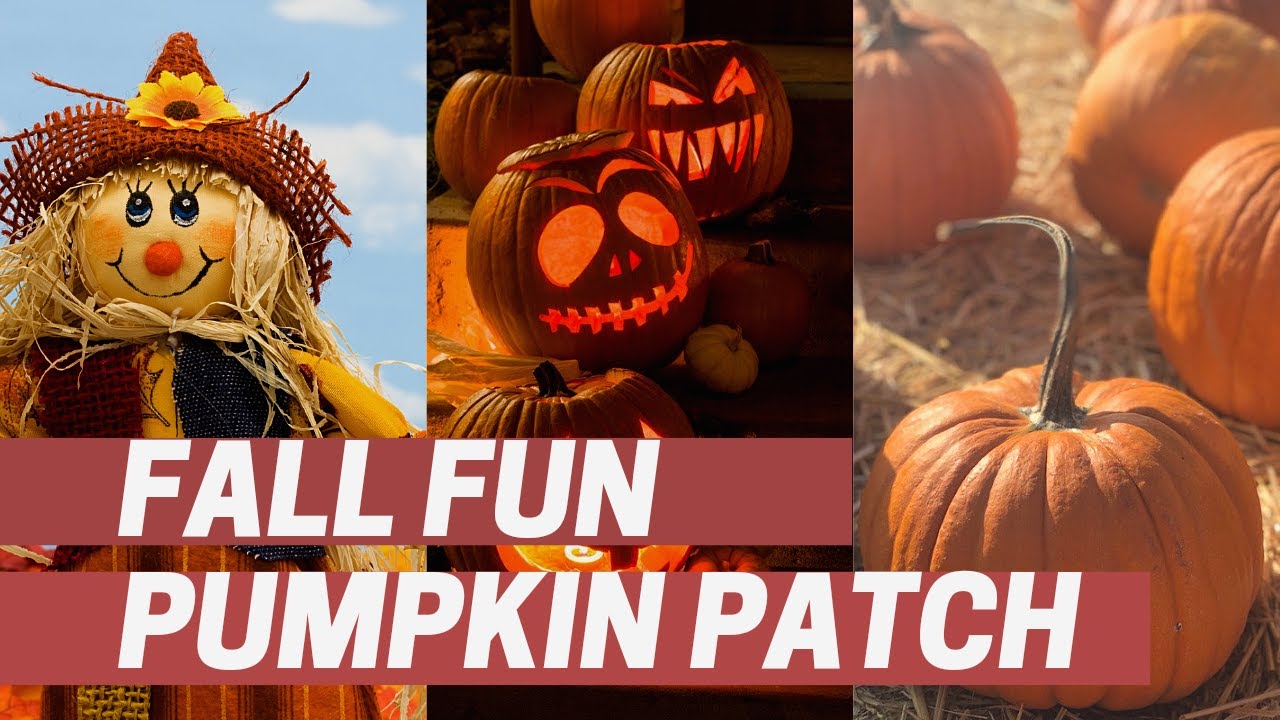 October, Fall Fun and Pumpkin Patches | Azize Vlog | Kids Vlog