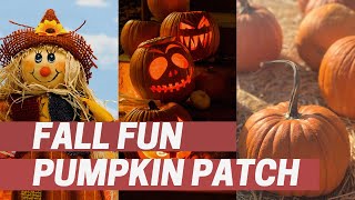 October, Fall Fun and Pumpkin Patches | Azize Vlog | Kids Vlog