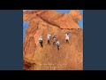 Miniature de la vidéo de la chanson Camarade #2