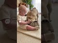 赤ちゃんとわんこ🐶　dog and Baby #japan #cute #ai #baby #kawaii #かわいい　#犬　#dog #残念そうな顔 #funny #dance #music
