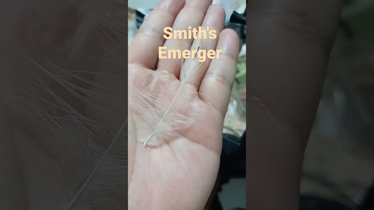 smith's emerger sulfur mayfly emerger 