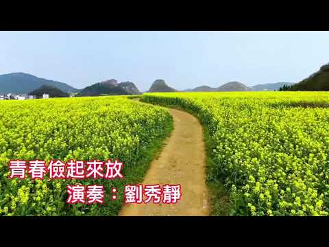 薩克斯風/saxophone/青春儉起來放/楊靜主唱/劉秀靜演奏