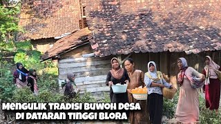 Download Lagu Guyup Rukun Sedulur Ndeso Jalan Kaki Buwoh Hajat Sunatan \u0026 Kirab Barongan Keliling Desa MP3 Download Lagu Guyup Rukun Sedulur Ndeso Jalan Kaki Buwoh Hajat Sunatan \u0026 Kirab Barongan Keliling Desa MP3