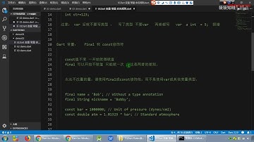 02 Dart 入口方法介绍 Dart打印 Dart注释  Dart变量 常量申明 变量命名规则