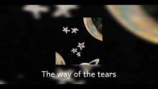 the way of  the tears - speed up Resimi