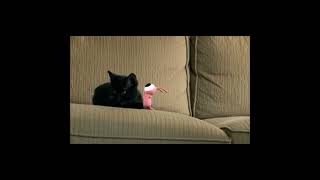 Omd Dont Go Extended